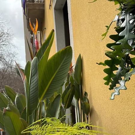 Plaza Goya Guest house