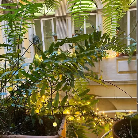 Plaza Goya Guest house