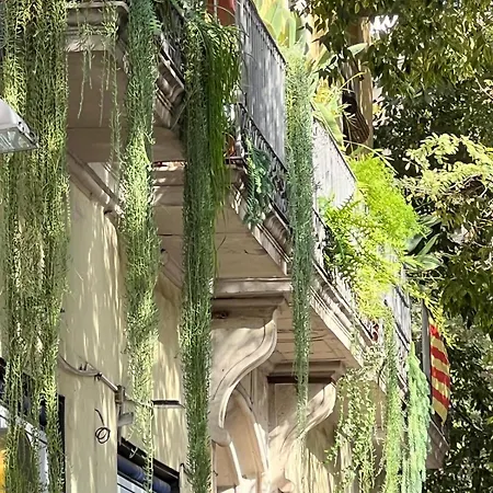 Pensjonat Plaza Goya Barcelona