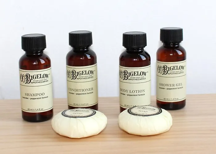 Plaza Goya Affittacamere Barcellona