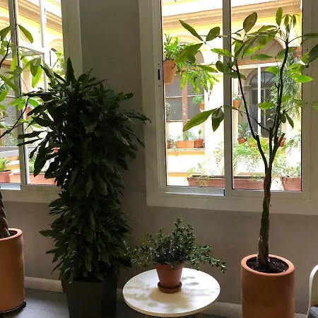戈雅广场客房酒店 招待所